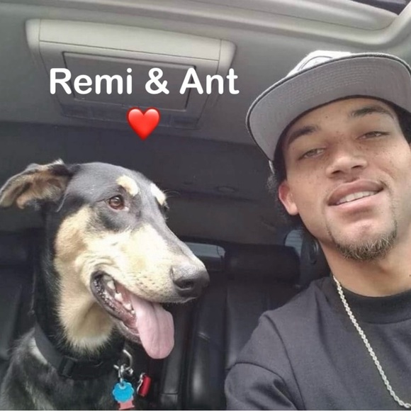 Meet your Posher, Christi - Picture 6 of 9